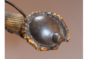 Very Rare Mid 17th Century English Civil War Period Mushroom Cap Hanger
